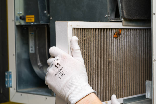 Best Ductwork Cleaning Services  in Maury, NC
