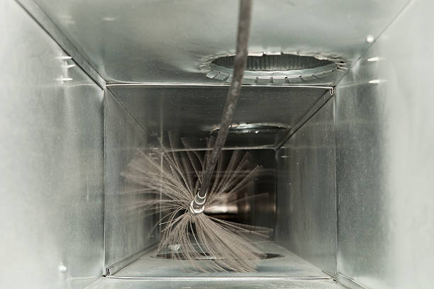 Best Professional Duct Cleaning Services  in Maury, NC