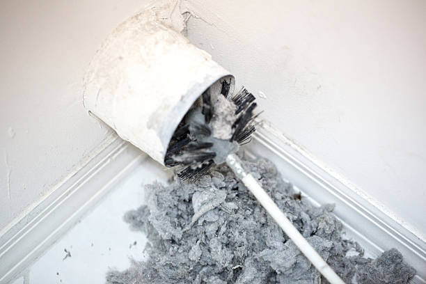 Best HVAC Air Duct Cleaning  in Maury, NC